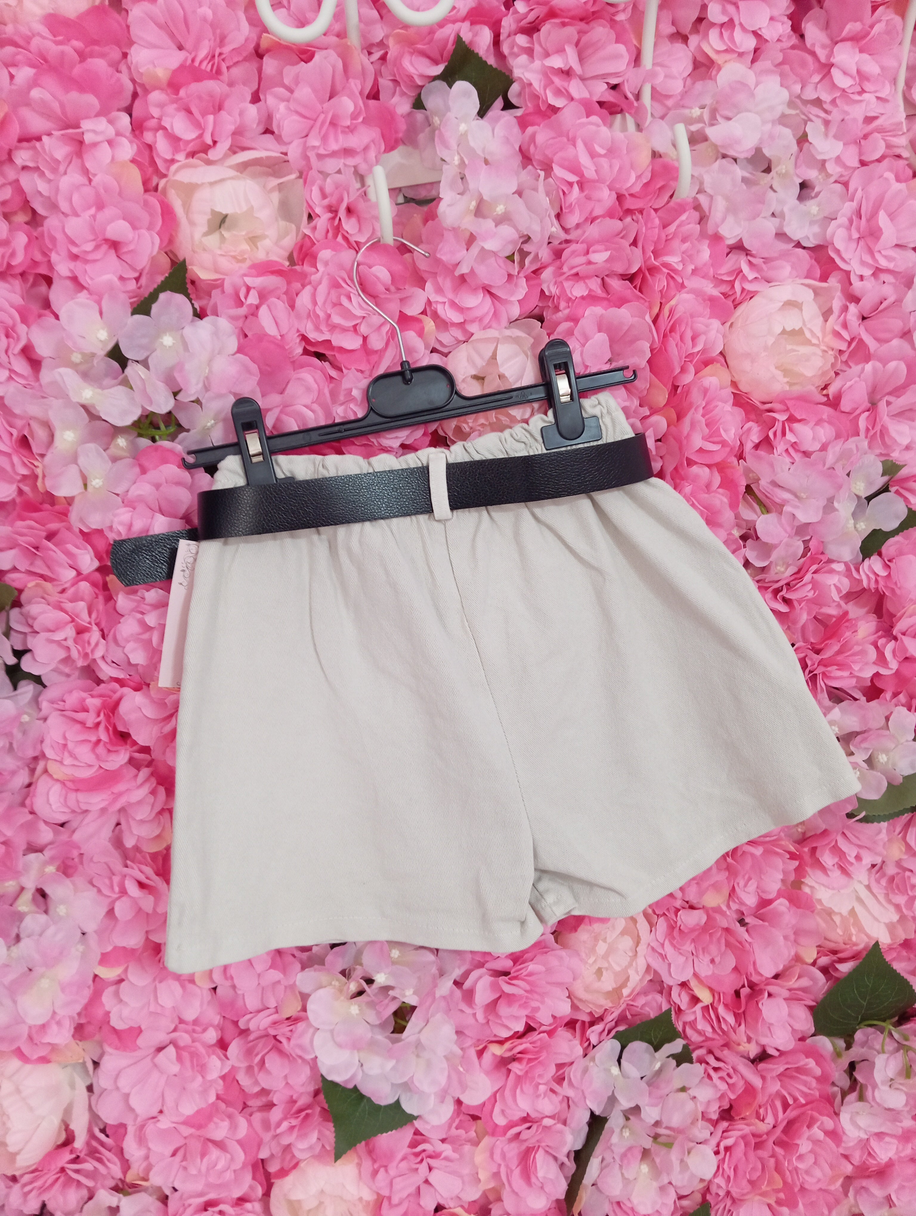 Pantagonna alisia - DESIREEKIDS